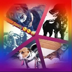 Meet your Posher, Mckenzie